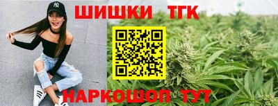 индика Кунгур