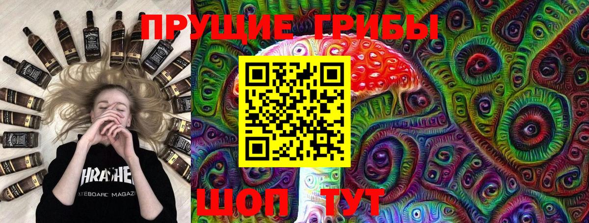 Галлюциногенные грибы мицелий  Вход с VPN  купить наркотики цена  Долгопрудный 